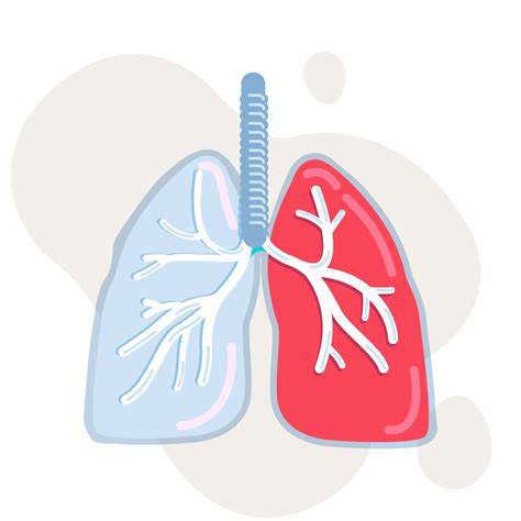 Alt Tag for service icon